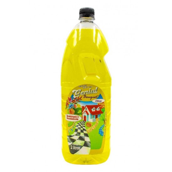 DESINFETANTE E DESODORANTE CITRUS 2L