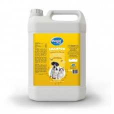 5043 - SHAMPOO MELAO + GUARANA 5 LTS (GENIAL PE