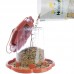 ALILMENTADOR FAUNA P/PASSAROS 1,4 LTS