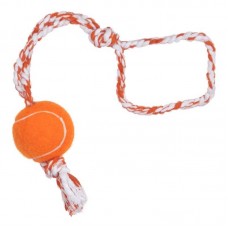 9336 - PUSH DOG BALL (500 MM) REF 67