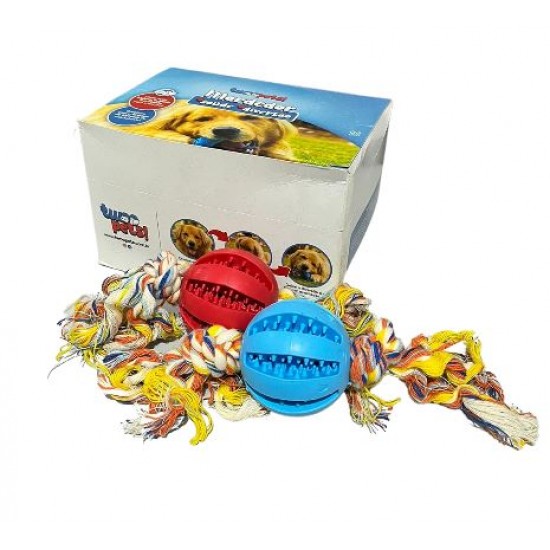 DISPLAY PET BALL COM DENTAL BONE 6 UND