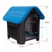 CASA DOG HOME BLACK N.4 TELHADO AZUL