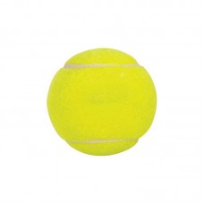 8630 - BOLA MINI DE TENIS CAT 40MM