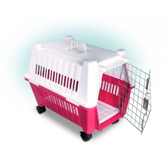 CAIXA TRANSPORTE PREMIUM PET N.4