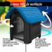 CASA DOG HOME BLACK N.6 TELHADO AZUL