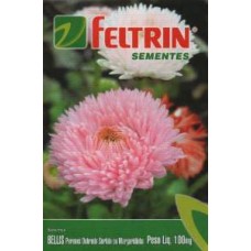 5013 - SEMENTE BELLIS PERENES EMBALAGEM C/20 EN