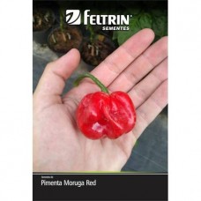 6778 - SEMENTE PIMENTA MORUGA RED C/25 ENV 50GR