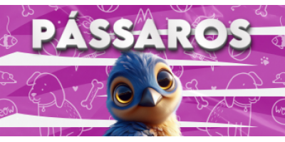 PASSÁROS